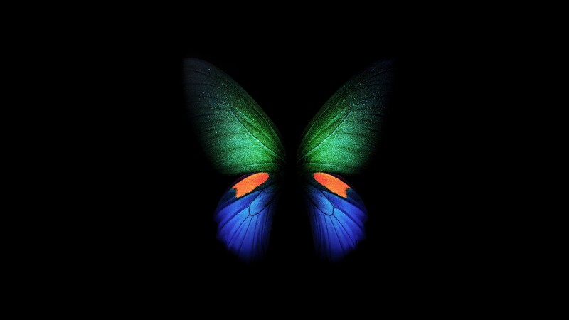 samsung galaxy fold, butterfly, samsung, stock, hd, original, 4k, artist, digital art, dark, black, oled