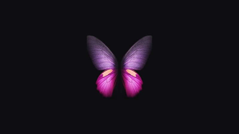 samsung galaxy fold, butterfly, samsung, stock, hd, original, 4k, artist, digital art, dark, black, oled