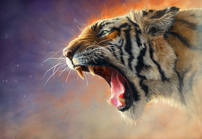 tiger, hd, artwork, deviantart, animals