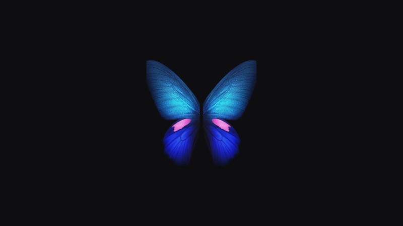samsung galaxy fold, butterfly, samsung, stock, hd, original, 4k, artist, digital art, dark, black, oled
