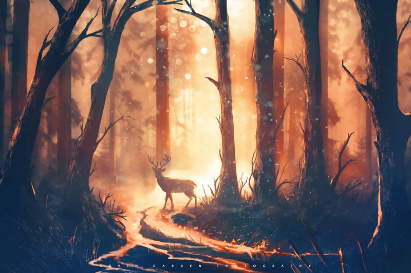 deer, forest, artist, artwork, digital art, hd, deviantart