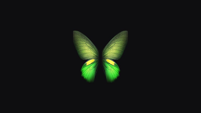 samsung galaxy fold, butterfly, samsung, stock, hd, original, 4k, artist, digital art, dark, black, oled