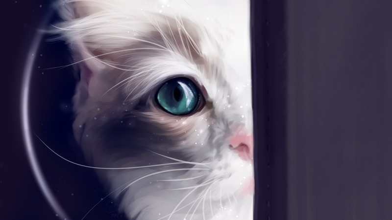 cat, animals, artist, artwork, digital art, hd, deviantart
