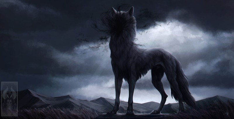 wolf, artist, artwork, digital art, hd, 4k, deviantart