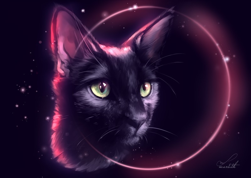 cat, artist, artwork, digital art, hd, deviantart