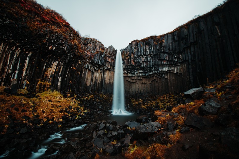 waterfall, forest, nature, hd, 4k, 5k