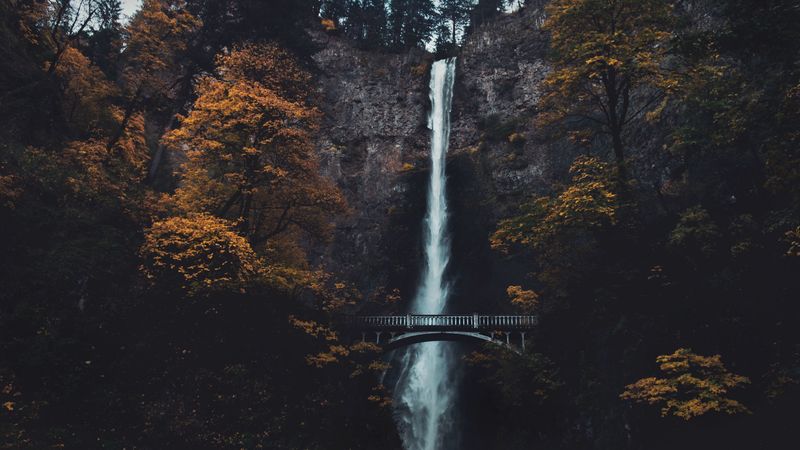 waterfall, cliff, bridge, trees, water, 4k