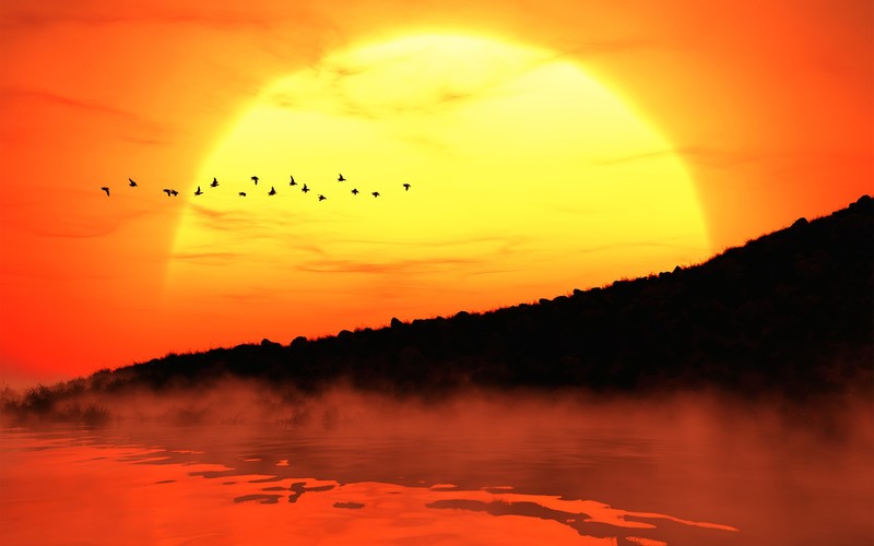 sunset, artist, artwork, digital art, hd