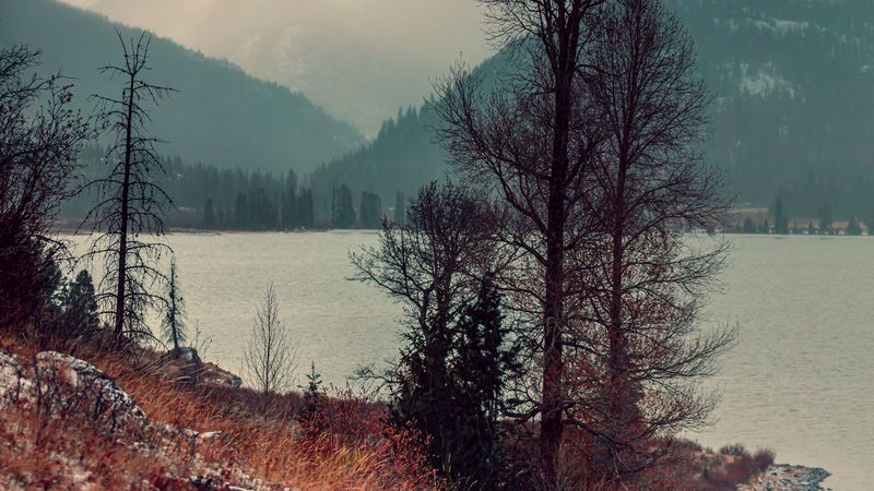 lake, trees, mountains, shore, fog, landscape, 4k