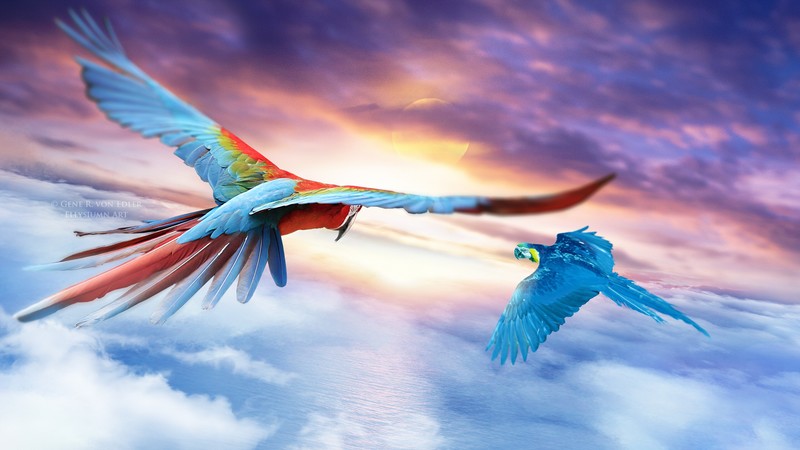 macaw, parrot, birds, artist, artwork, digital art, hd, deviantart, 4k