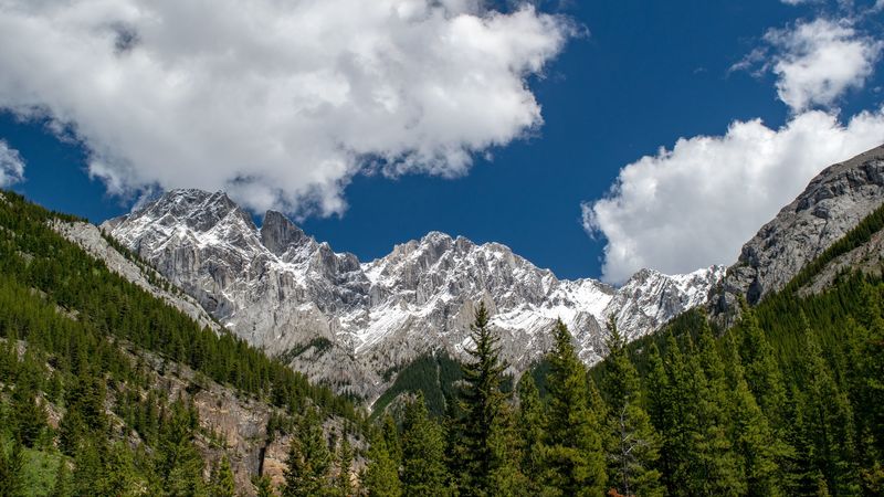 mountains, mountain range, peaks, trees, clouds, 4k