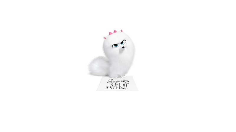 the secret life of pets 2, the secret life of pets, movies, animated movies, cartoons, hd, 4k, 2019 movies, 5k, 8k