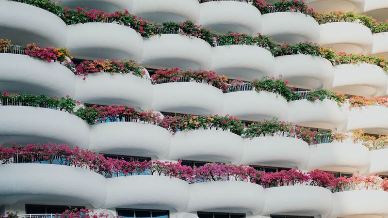 building, architecture, balconies, white, flowers, 4k