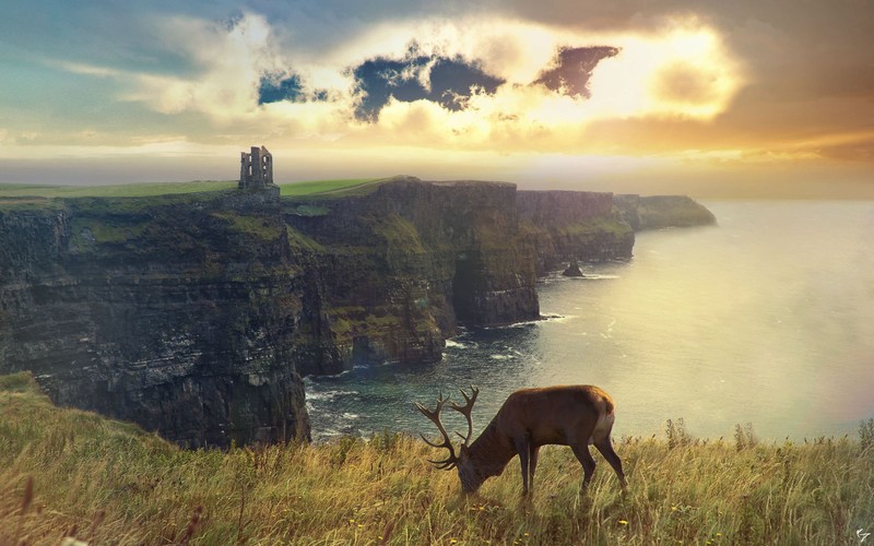 deer, fantasy, artist, artwork, digital art, hd, manipulation