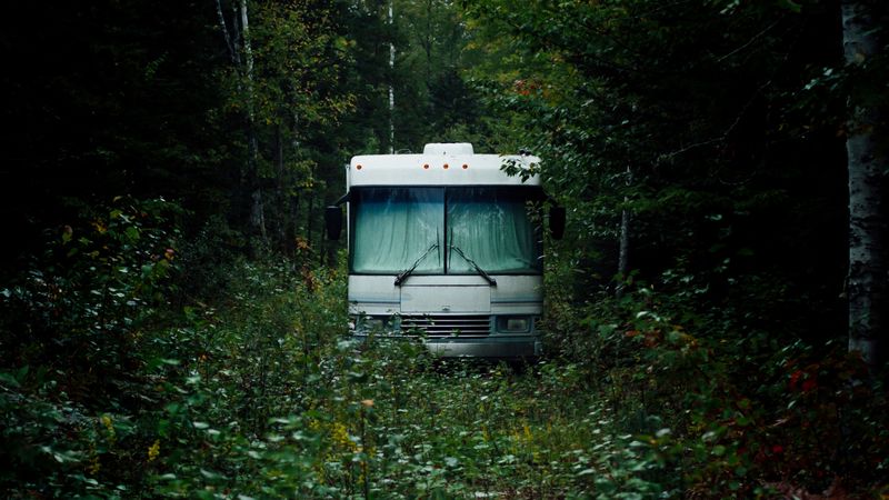 bus, white, forest, nature, 4k