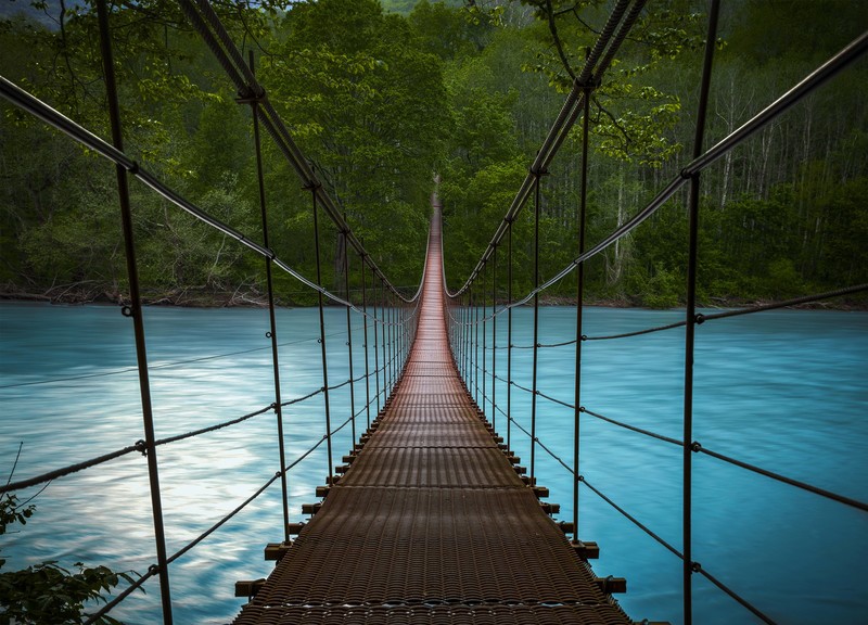 bridge, river, forest, photography, hd