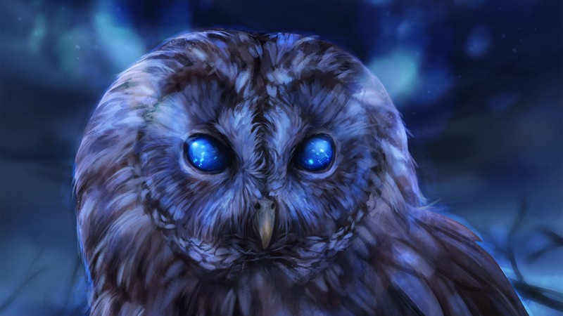 owl, birds, hd, artist, artwork, digital art, deviantart
