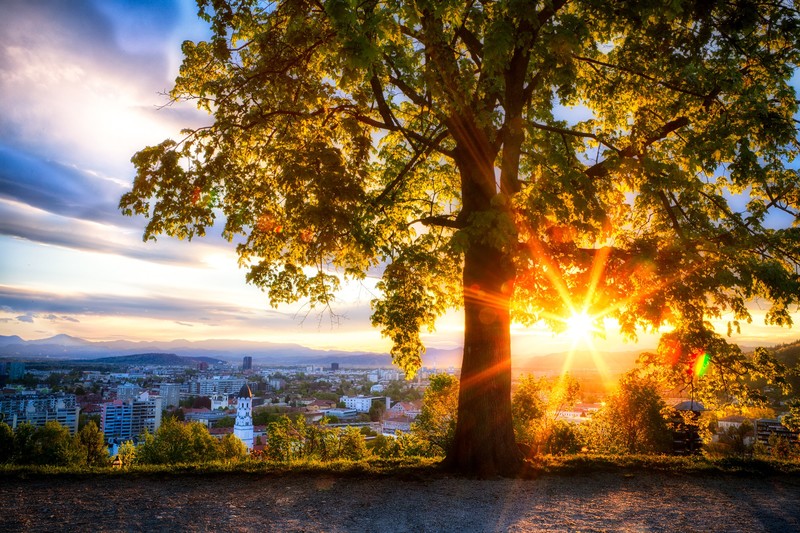 sunrise, nature, city, hd