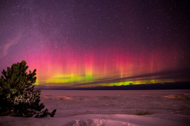 aurora, northern lights, nature, hd, 4k, 5k