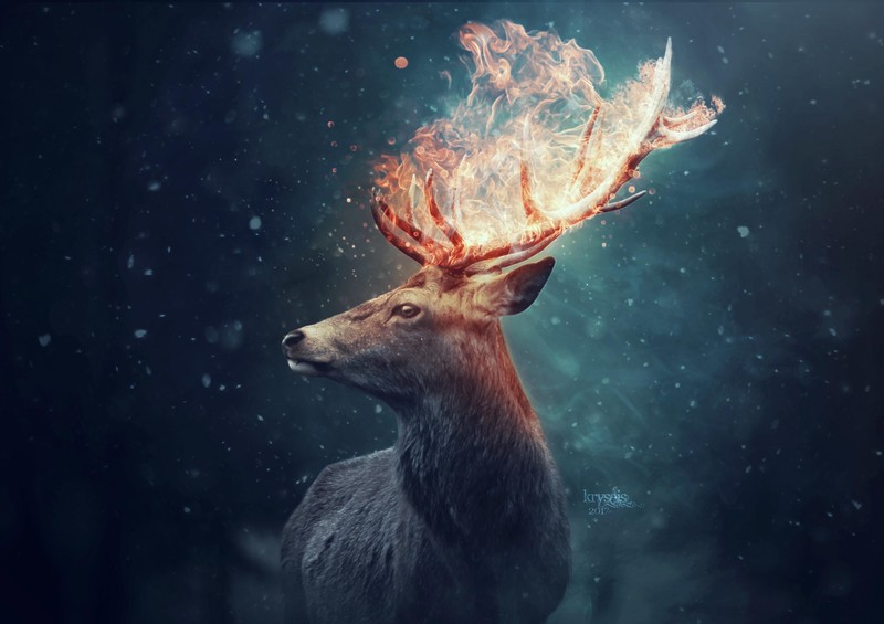 deer, animals, manipulation, hd, deviantart
