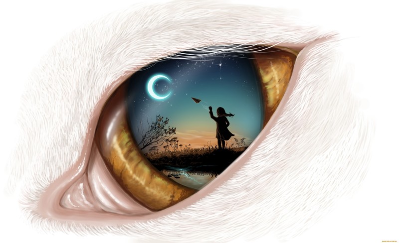 dreamy, artist, artwork, digital art, hd, 4k