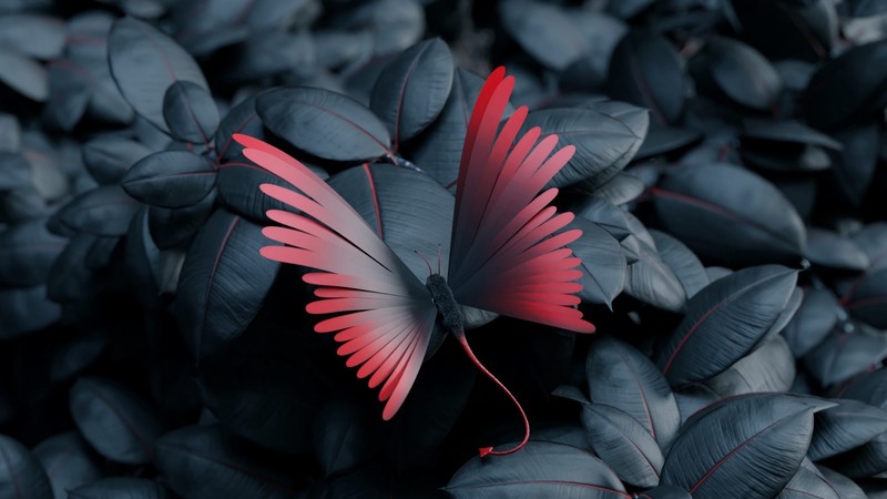 butterfly, artist, artwork, digital art, hd