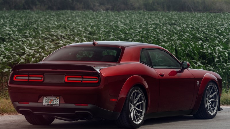 dodge challenger srt hellcat widebody, dodge challenger, dodge, 2019 cars, 4k, hd, 5k