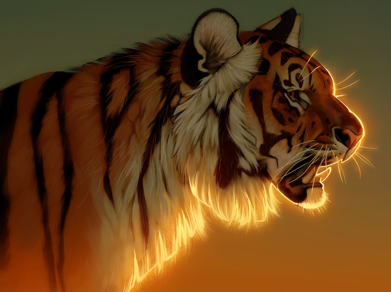 tiger, animals, hd, 4k, 5k, deviantart