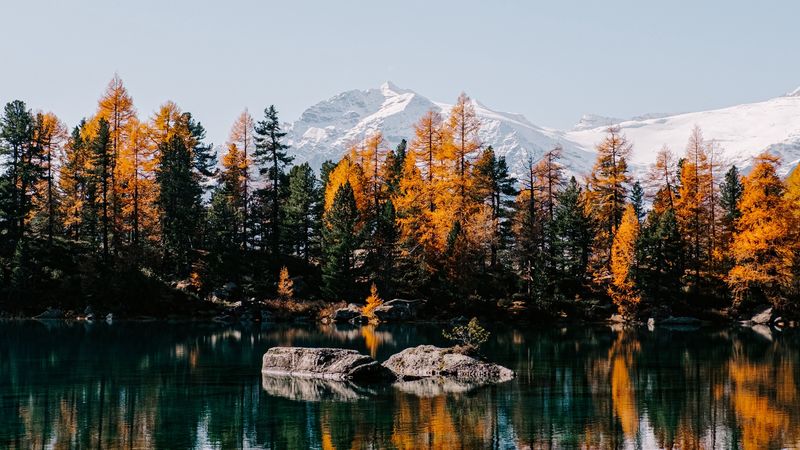 lake, trees, mountains, stones, landscape, 4k