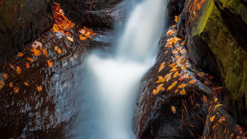 waterfall, river, stones, leaves, water, 4k