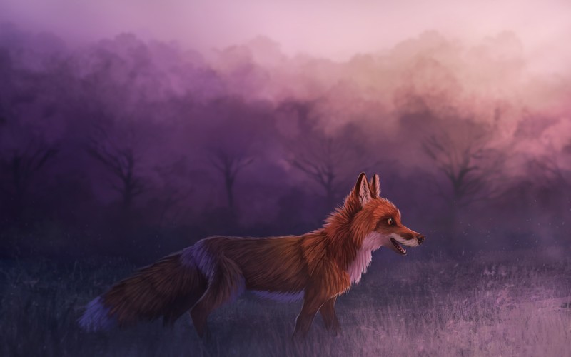 fox, animals, hd, 4k, deviantart