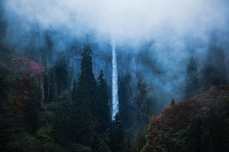 waterfall, trees, nature, hd, 4k