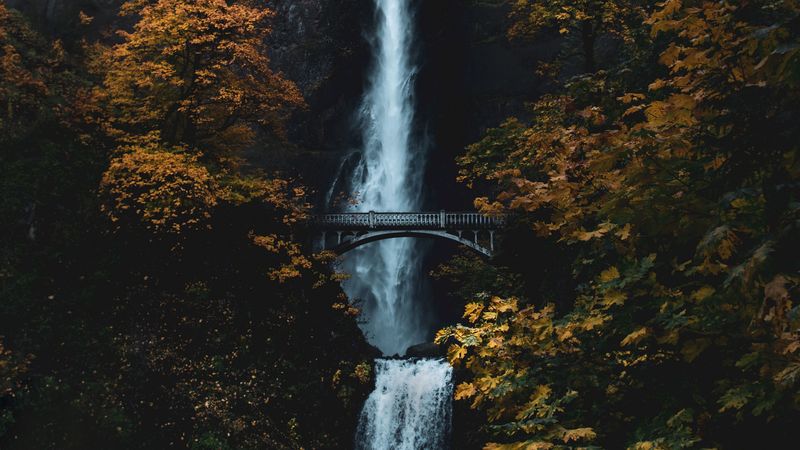 waterfall, rock, cliff, trees, bridge, 4k