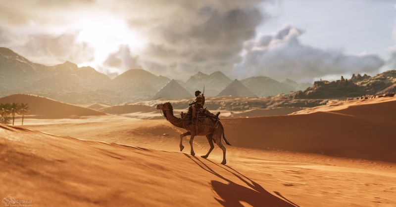 assassins creed origins, assassins creed, games, xbox games, ps games, pc games, hd, 4k, 2019 games, 5k, 8k, camel