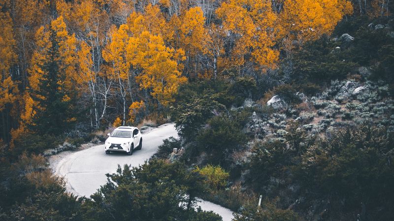 car, forest, road, turn, autumn, 4k