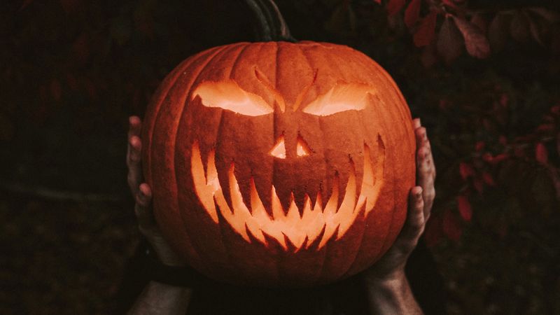 halloween, pumpkin, hands, 4k