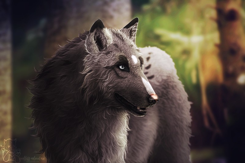 wolf, artwork, artist, hd, digital art, deviantart