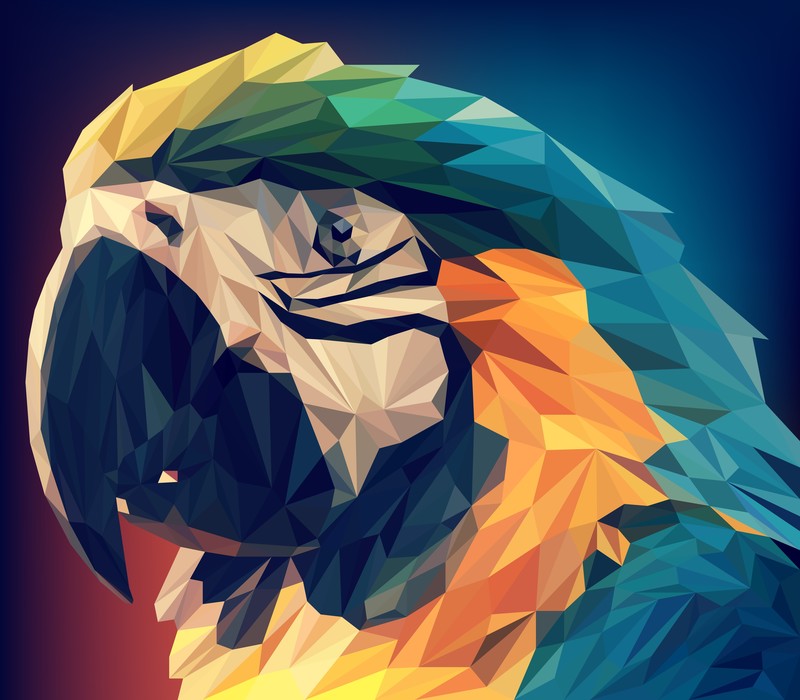 parrot, low poly, artist, artwork, digital art, hd, 4k, 5k