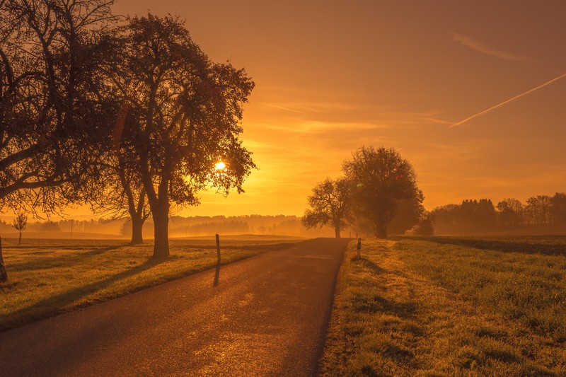 sunrise, sunset, nature, hd, trees, 4k, 5k