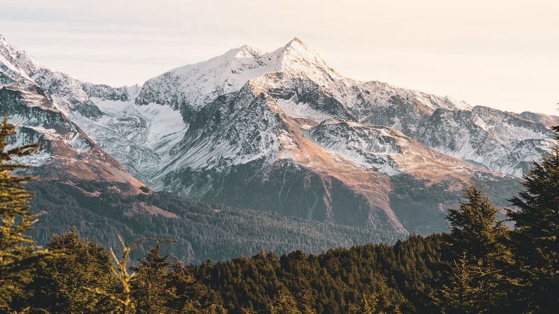 mountains, forest, landscape, peaks, snowy, 4k