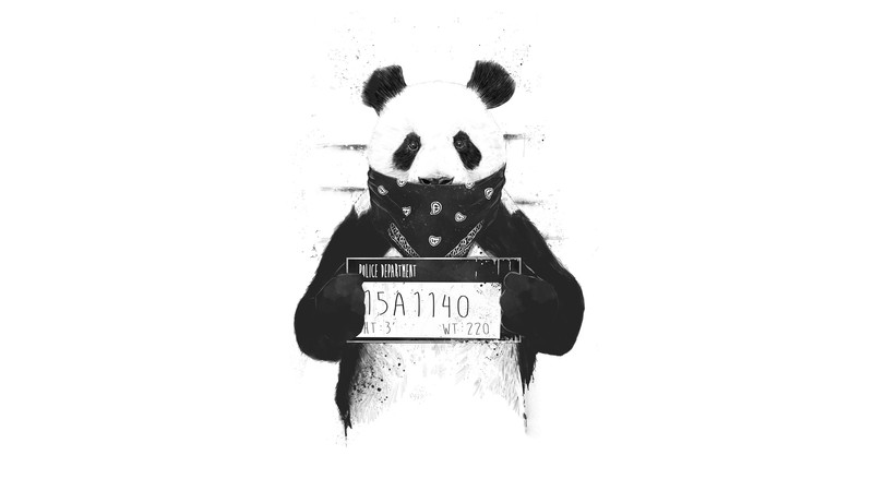 panda, artist, artwork, digital art, 4k, monochrome, black and white