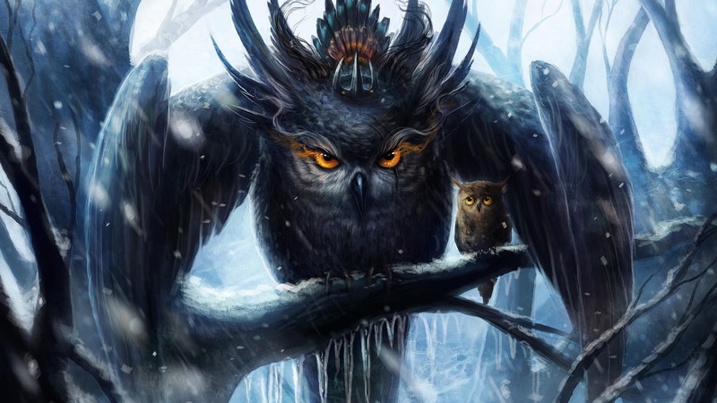 owl, birds, hd, mother, artist, artwork, digital art, deviantart