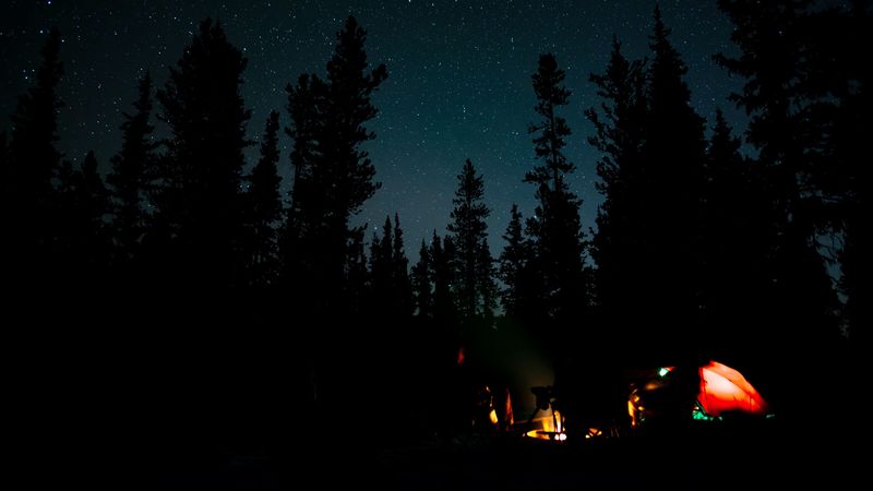 night, campfire, camping, forest, 4k