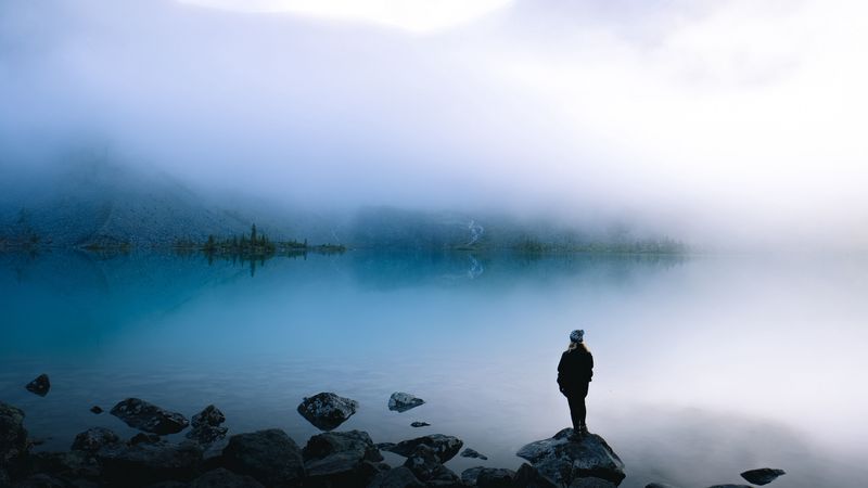 lake, fog, silhouette, loneliness, shore, 4k