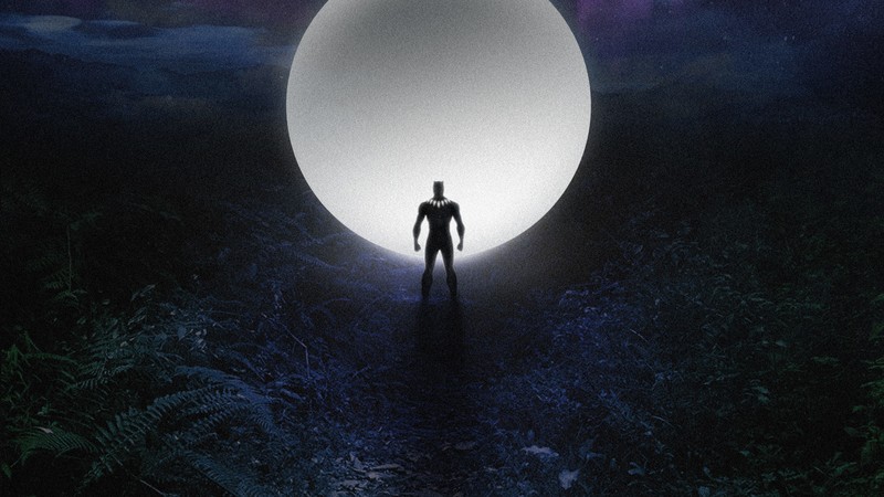 black panther, hd, superheroes, behance, artwork