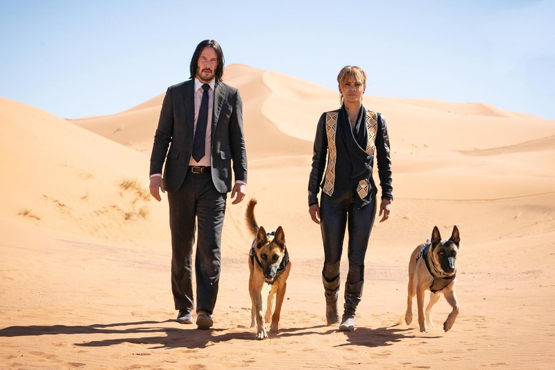 john wick 3 parabellum, john wick 3, john wick chapter 3, movies, 2019 movies, hd, halle berry