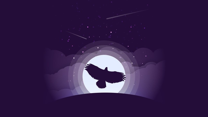 eagle, birds, artist, artwork, digital art, hd, minimalism, minimalist, 4k, behance