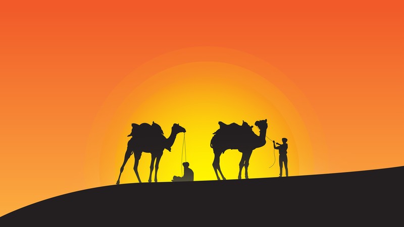 camel, artist, artwork, digital art, hd, silhouette, 4k