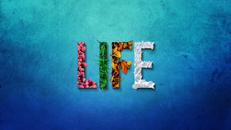 life, typography, hd, 4k, 5k