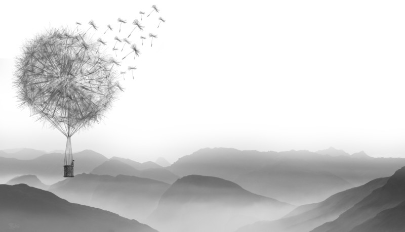 dandelion, air balloon, artist, artwork, digital art, hd, monochrome, black and white, 4k, 5k